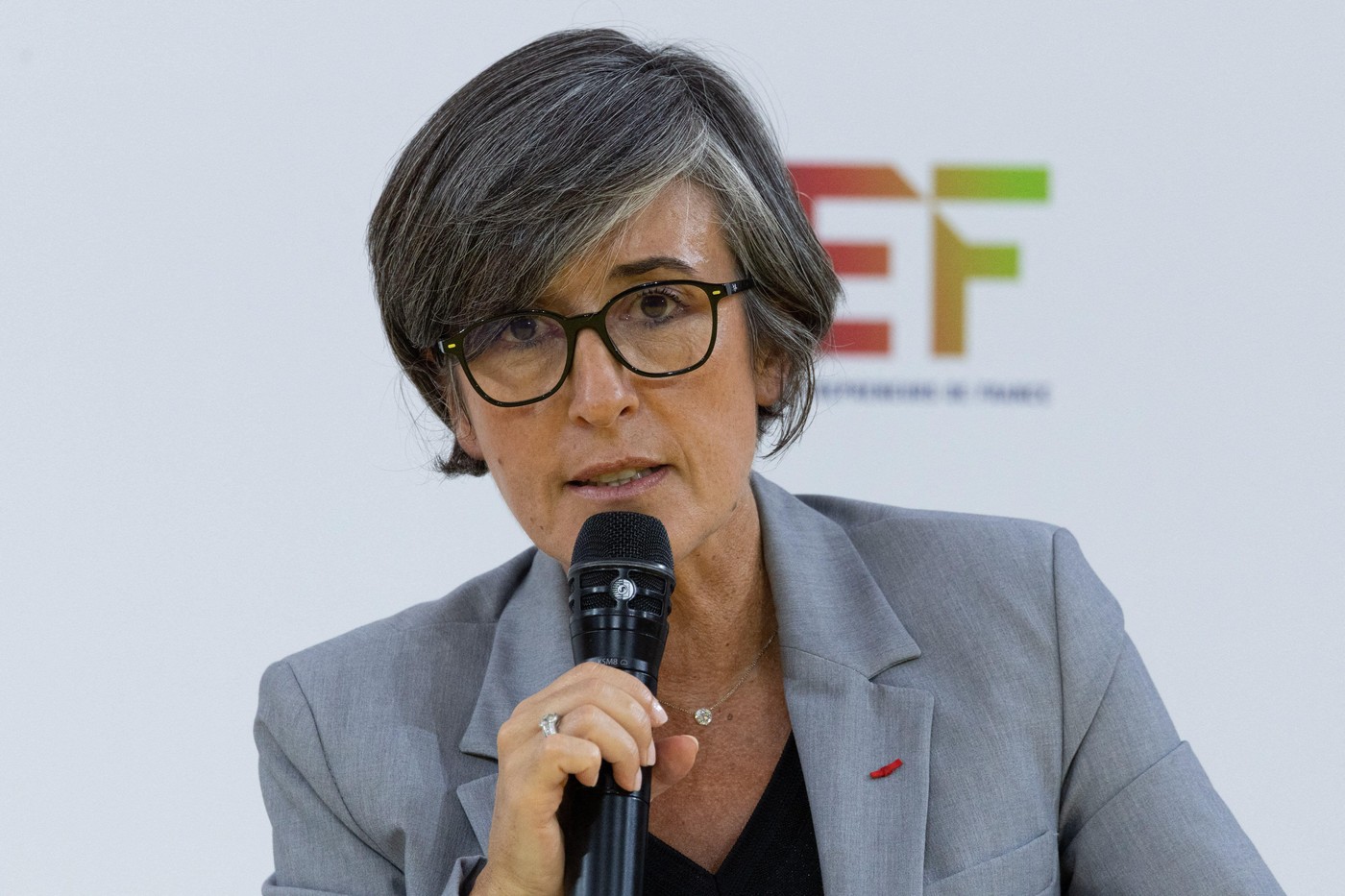 Avertismentul lansat de contraspionajul francez, după incidentul de la Leipzig. Scenariul luat în calcul de șefa DGSI