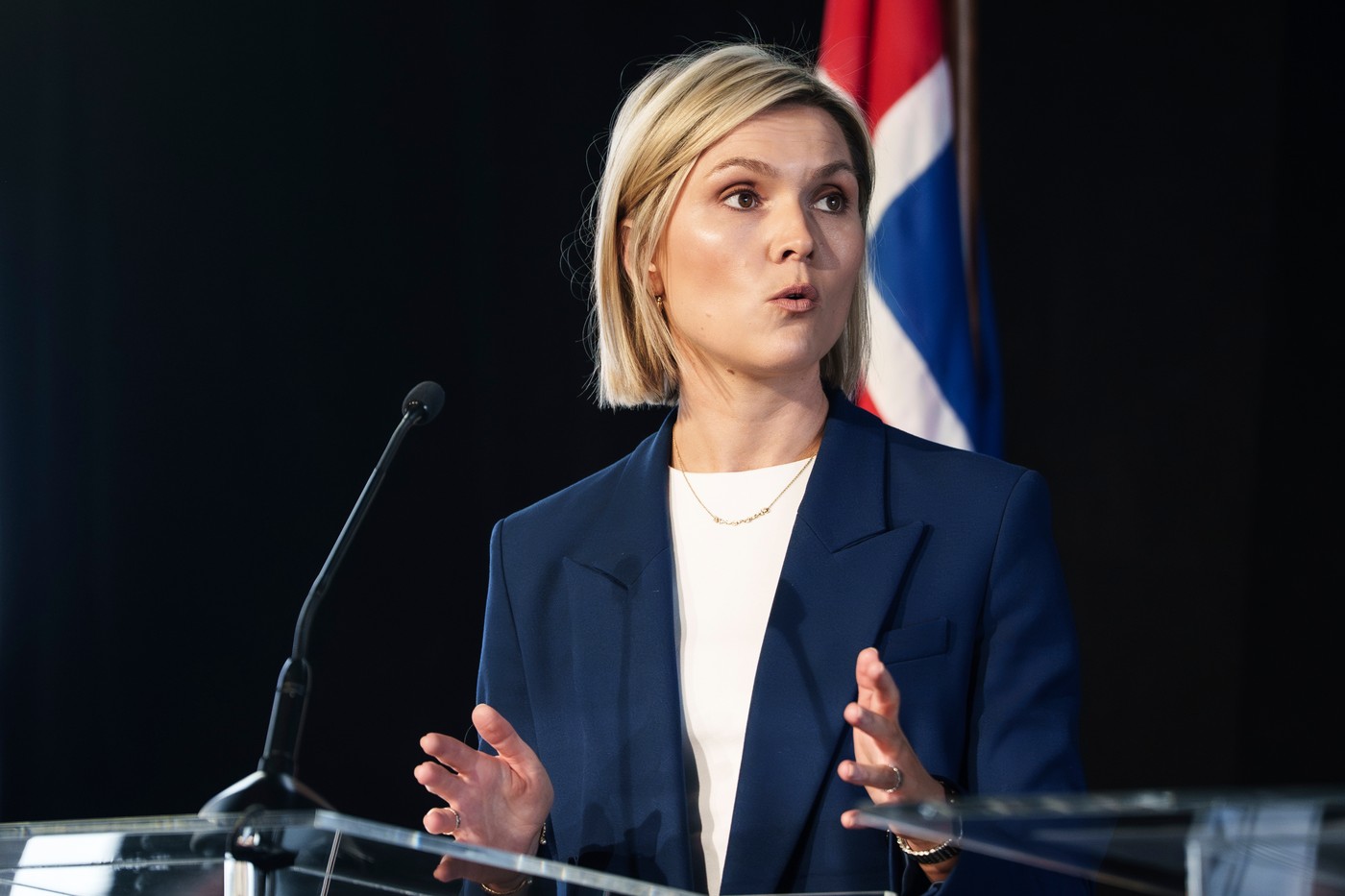 Referendumul din Islanda privind UE: Respingerea nu e „un eșec”, spune prim-ministrul / UE transmite că „respectă pe deplin alegerea democratică” a poporului islandez