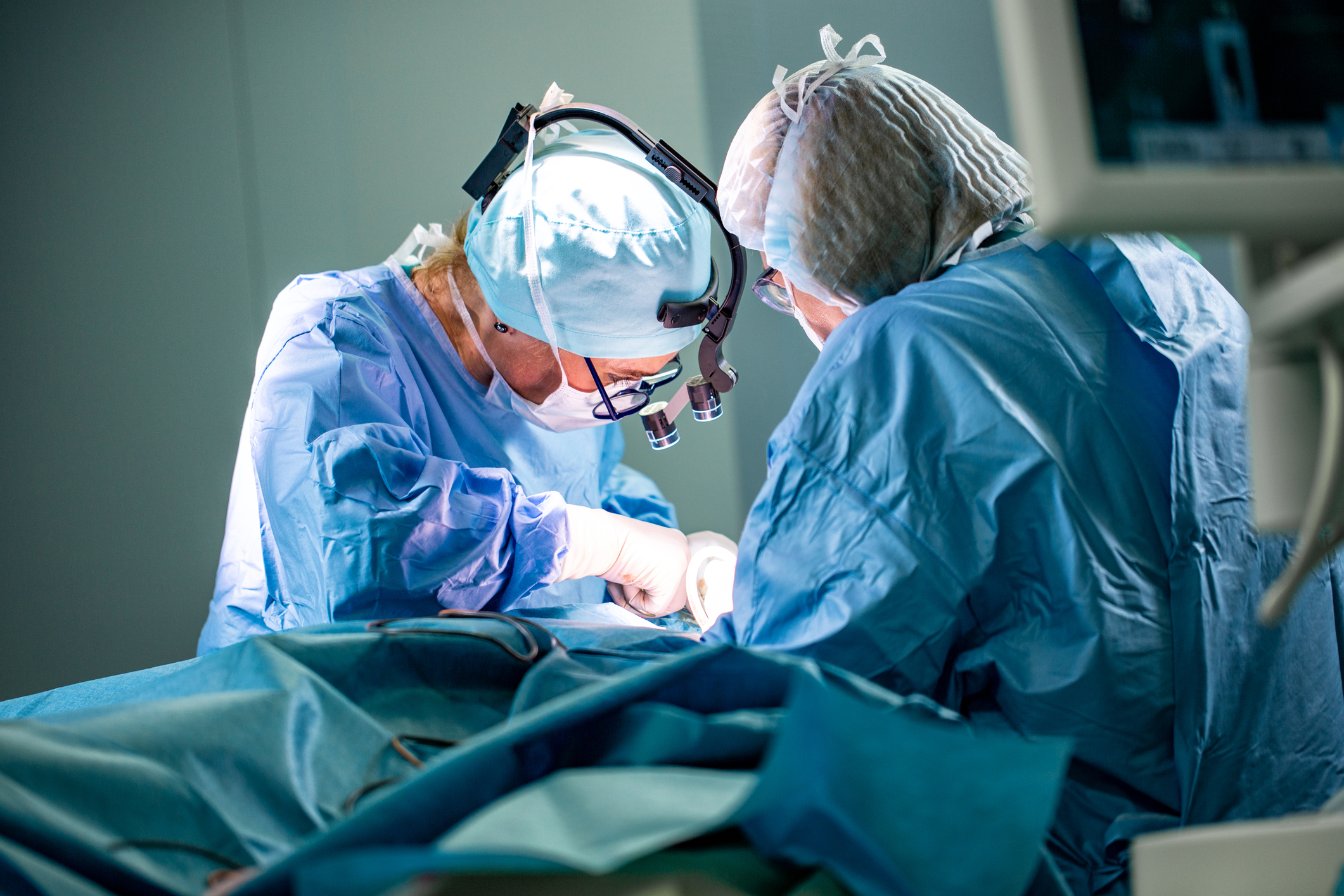 Genetically modified pig kidney kept a patient alive for nine months