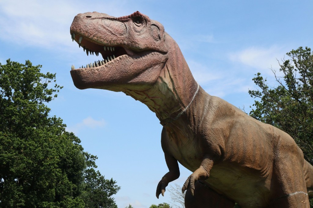 Tiranozaurul, „un animal mult mai mobil și adaptabil”. Ce au descoperit cercetătorii analizând dinți de T.rex