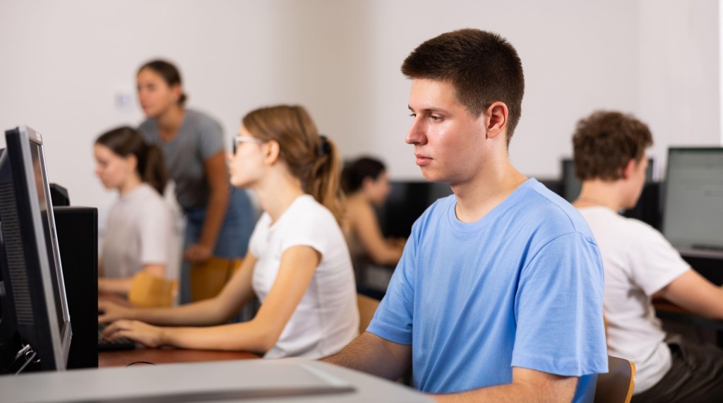 Testele PISA se susțin la computer. Cerințele verifică dacă un adolescent poate folosi în situații reale ceea ce a învățat la matematică, științe și citire. FOTO: Iakov Filimonov / Alamy / Profimedia