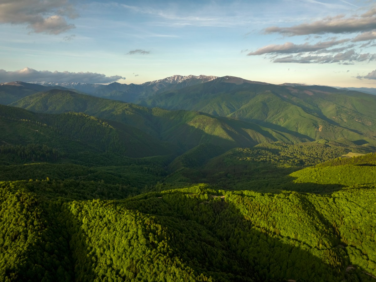 Doi biologi din Germania și Austria despre când va avea România cel mai mare parc național din Europa, de 250.000 de hectare. Va include zone din Munții Făgăraș și Piatra Craiului