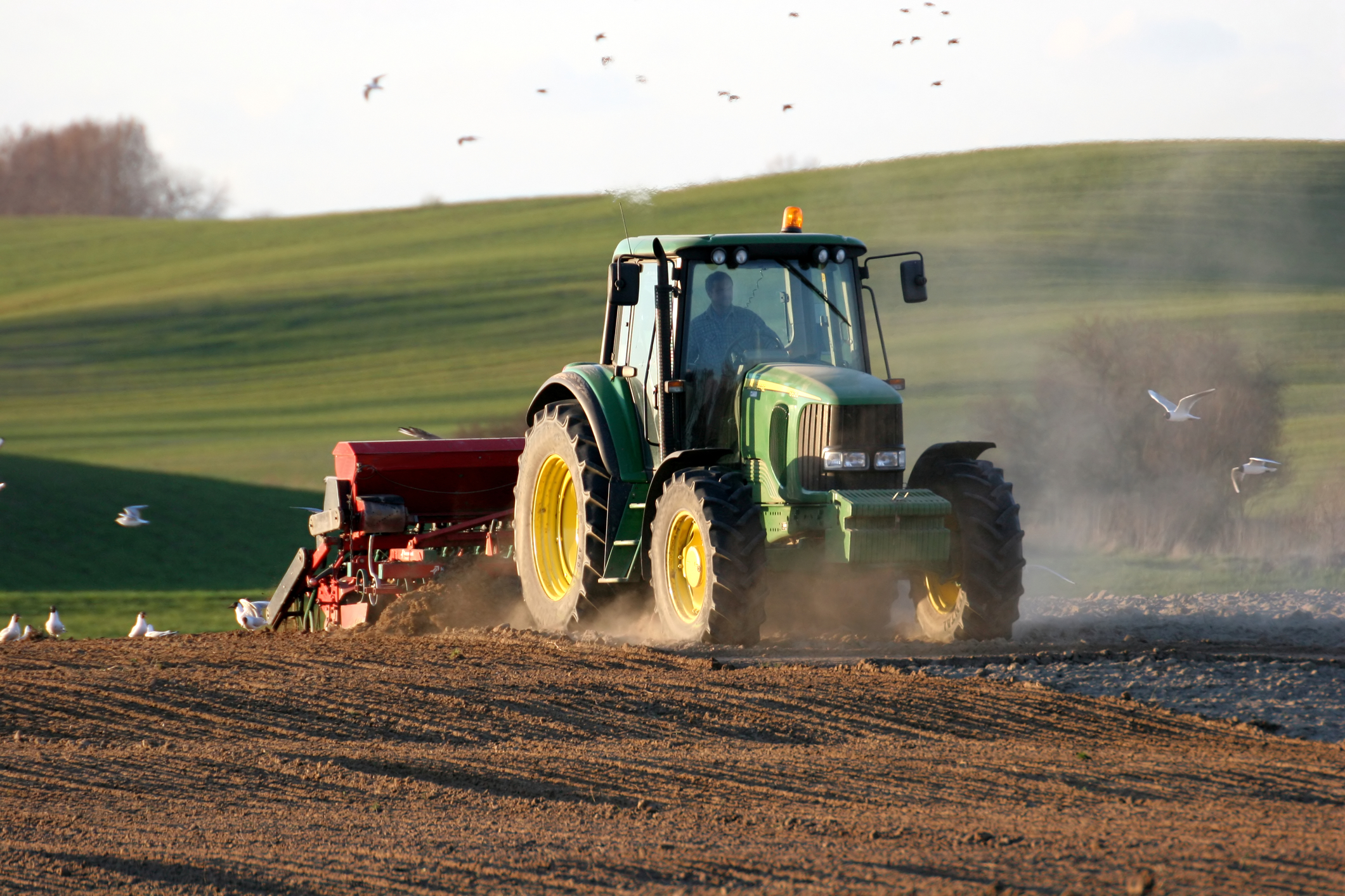 Romania: Government transfers agricultural subsidies to over 100,000 farmers
