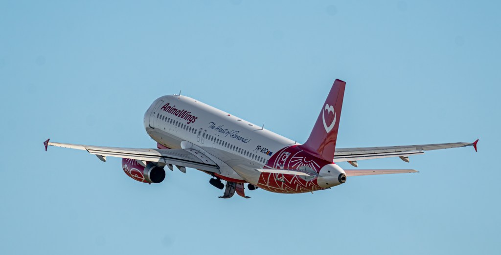Noi informații despre Animawings, după ce și-a cerut insolvența. Aproape de miezul nopții, două dintre avioanele folosite anterior de companie și-au luat zborul. Le-a luat firma de leasing