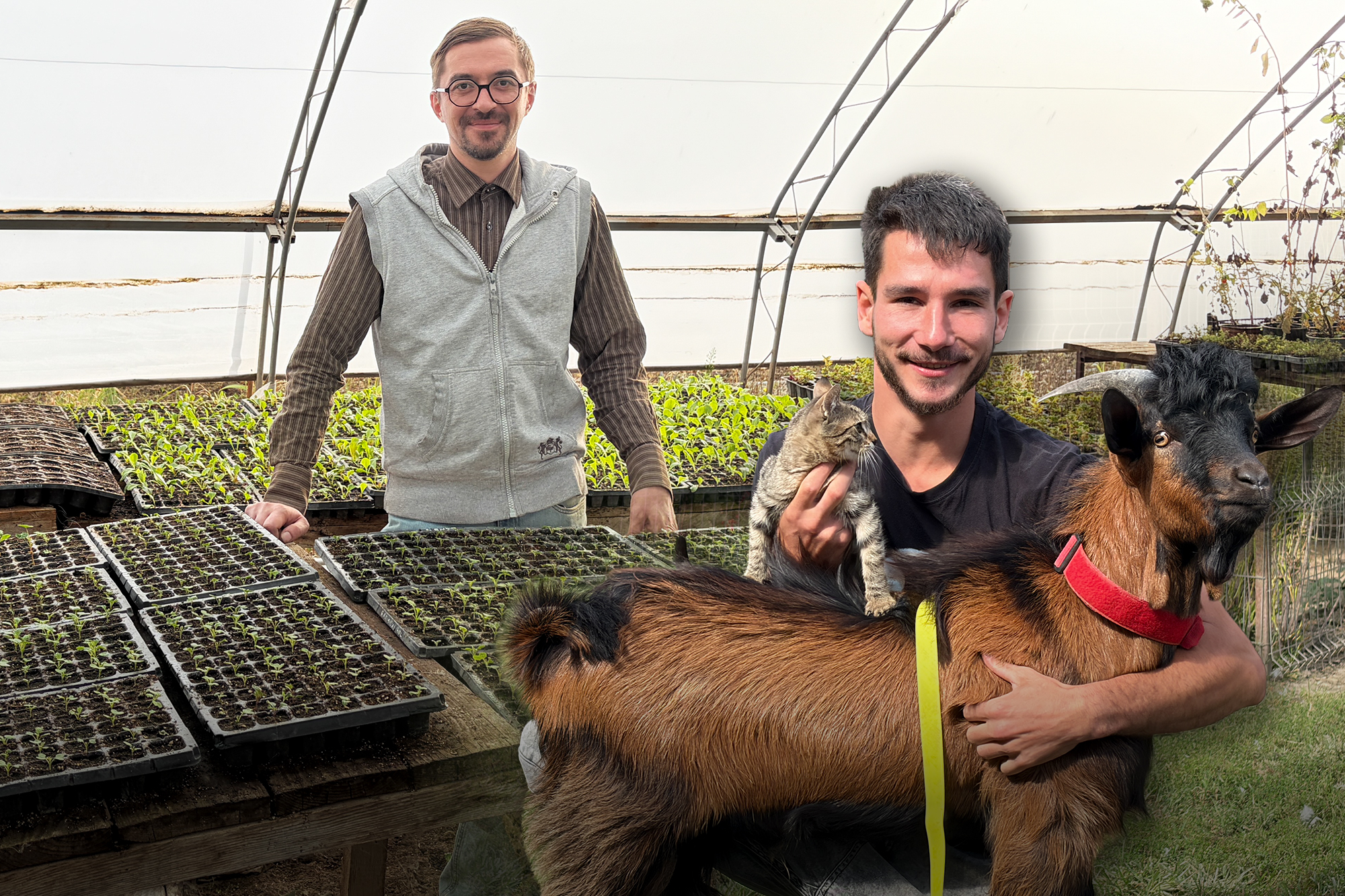 REPORTAJ. Tineri fermieri în România. De la „am învățat să folosesc drujba pe YouTube” la „încercăm să facem un pic altfel agricultura”