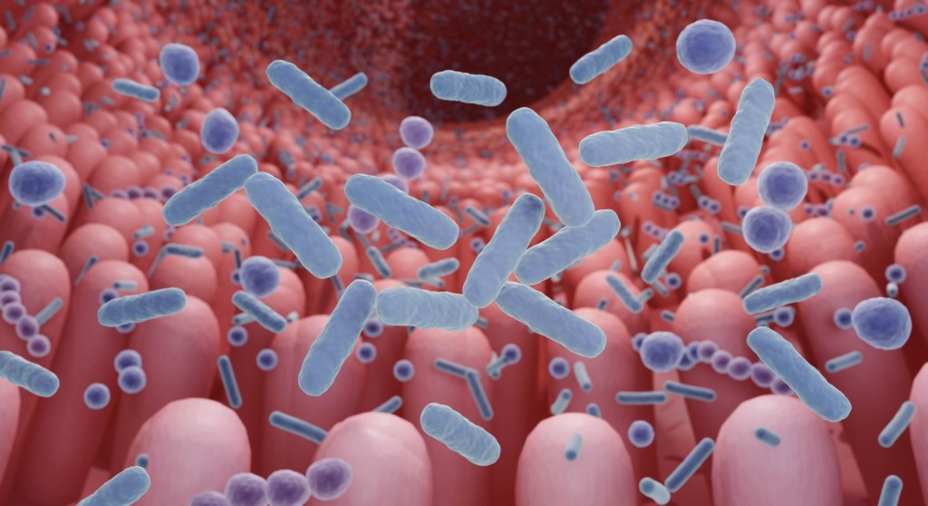 microbiom