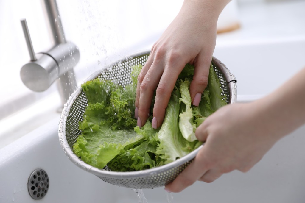 salată verde spălată