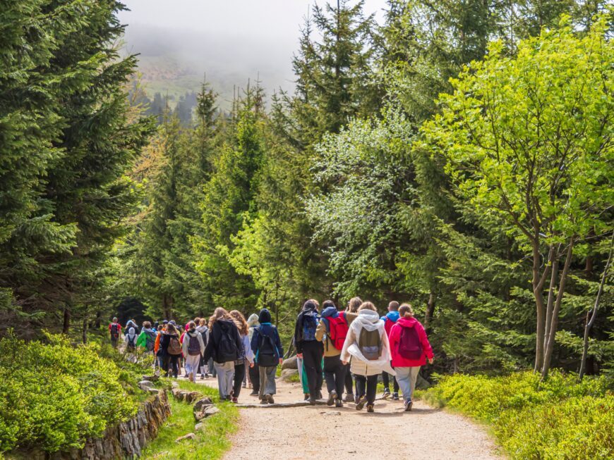 Excursiile în afara orașului sunt cele mai comune activități din cadrul programelor Școala Altfel sau Săptămâna Verde/ Shutterstock